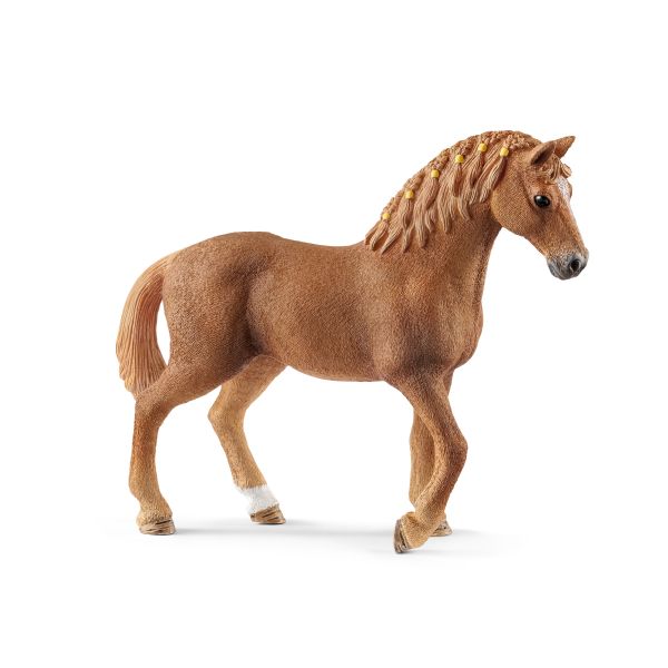 YEGUA QUARTER (CABALLO)