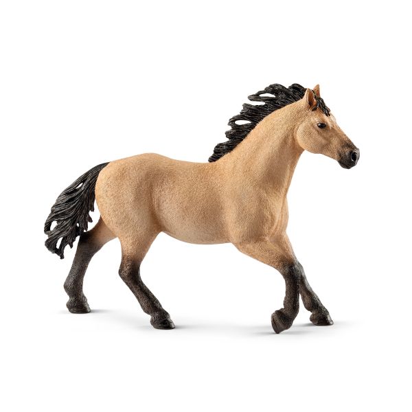 SEMENTAL QUARTER (CABALLO)