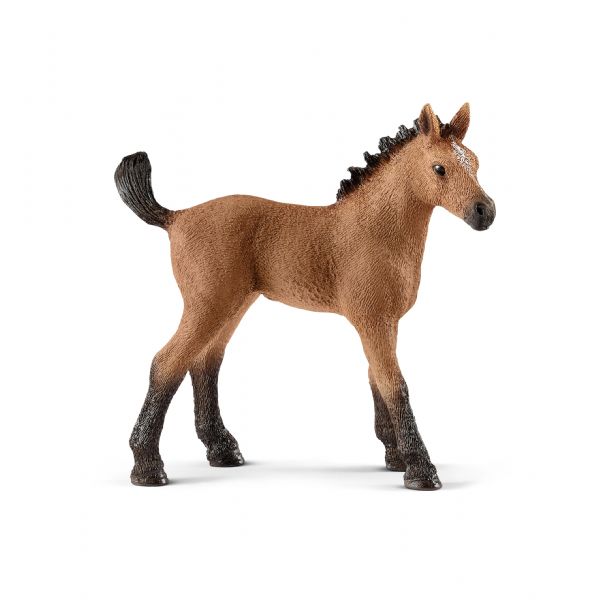 POTRO QUARTER (CABALLO)