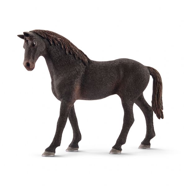 SEMENTAL PURASANGRE INGLES (CABALLO)