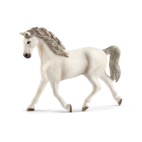 YEGUA HOLSTEINER (CABALLO)