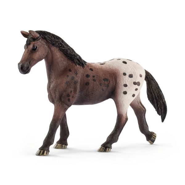 YEGUA APPALOOSA (CABALLO)