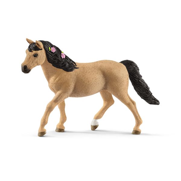 CONNEMARA PONY MARE (CABALLO)