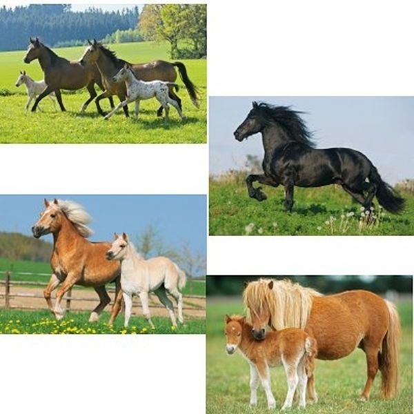 puzzles de caballos