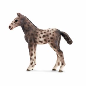 POTRO KNABSTRUPPER (CABALLO)