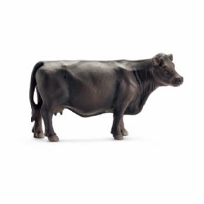 VACA BLACK ANGUS