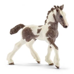 POTRO TINKER (CABALLO)