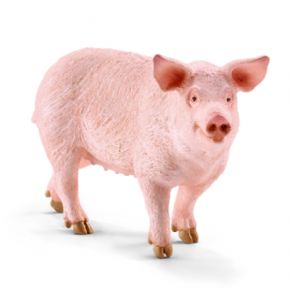 CERDO DE JUGUETE