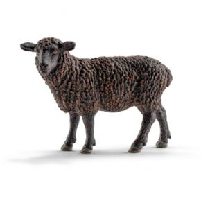 OVEJA NEGRA 