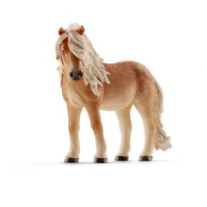 YEGUA PONI ISLANDESA  (CABALLO)