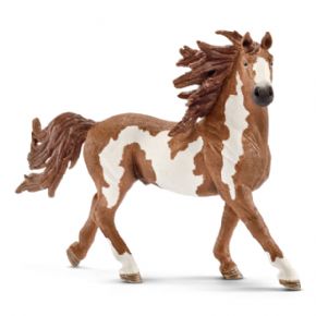 SEMENTAL PINTO (CABALLO)