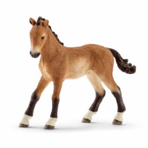 POTRO TENNESSEE WALKER (CABALLO)