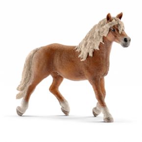 SEMENTAL HAFLINGER (CABALLO)