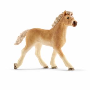 POTRO HAFLINGER (CABALLO)
