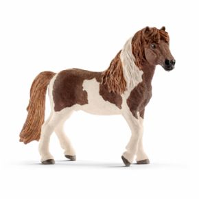 SEMENTAL PONI ISLANDS (CABALLO)