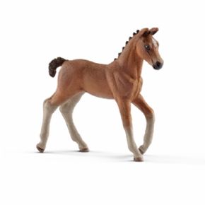 POTRO HANNOVERIANO  (CABALLO)