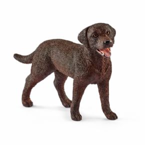 LABRADOR RETRIEVER HEMBRA (PERRO)