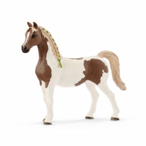 YEGUA PINTO RABE (CABALLO)