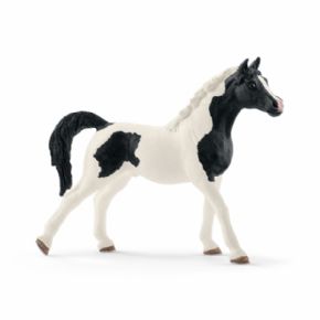 SEMENTAL PINTO RABE (CABALLO)