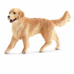 GOLDEN RETRIEVER HEMBRA 