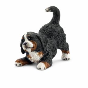 CACHORRO PERRO BERNS