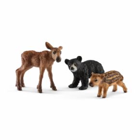 CRAS DE ANIMALES DEL BOSQUE