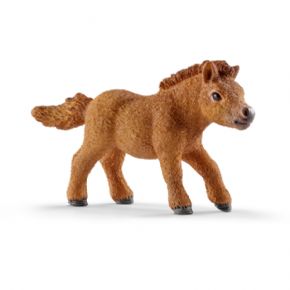 POTRO SHETTY MINI