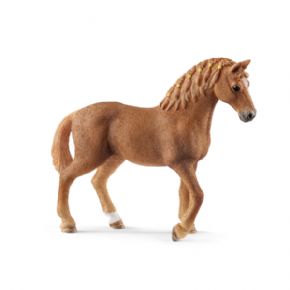 YEGUA QUARTER (CABALLO)