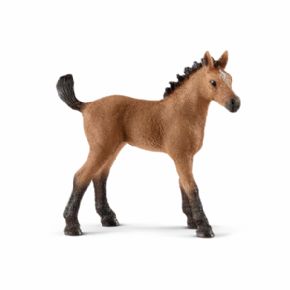 POTRO QUARTER (CABALLO)