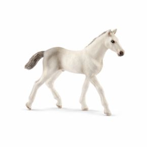 POTRO HOLSTEINER (CABALLO)