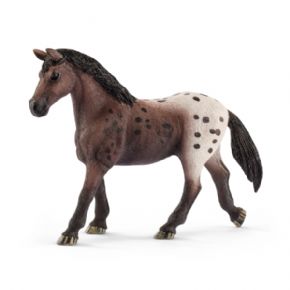YEGUA APPALOOSA (CABALLO)