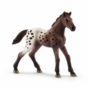 POTRO APPALOOSA (CABALLO)