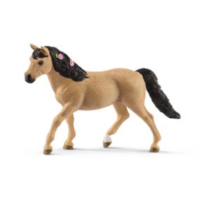 CONNEMARA PONY MARE (CABALLO)