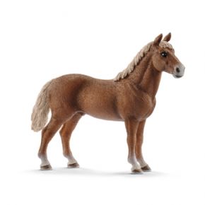 SEMENTAL MORGAN (CABALLO)