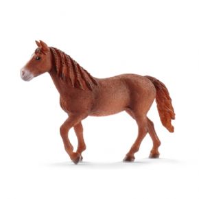 YEGUA MORGAN (CABALLO)