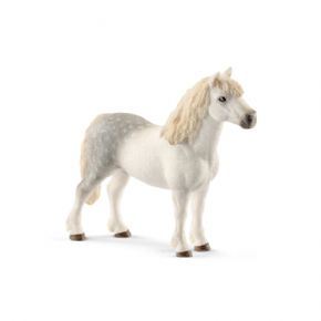 SEMENTAL PONI GALES (CABALLO)