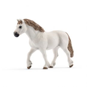 YEGUA PONI GALESA (CABALLO)