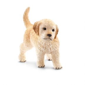 CACHORRO GOLDEN RETRIEVER