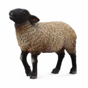 OVEJA SUFFOLK TIPO INGLES