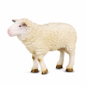 OVEJA