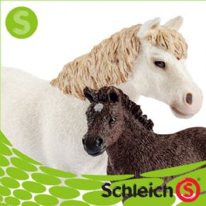 YEGUA DARTMOORE  Y PONI  (CABALLO)