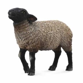 OVEJA INGLESA (COLLECTA)