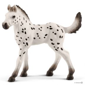POTRO KNABSTRUPPER (CABALLO)