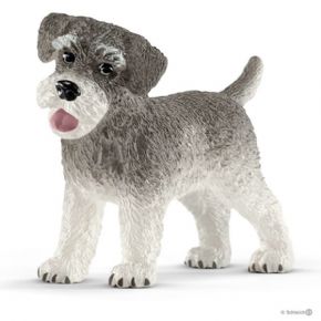 PERRO SCHNAUZER