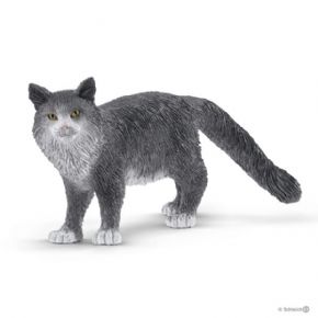 GATO MAINE COON 