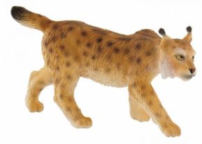 LINCE BULLYLAND.