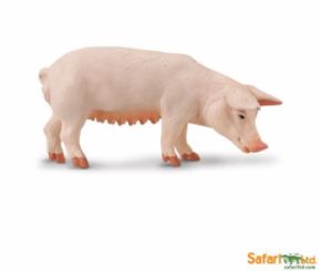 CERDITA
