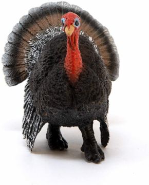 PAVO SCHLEICH