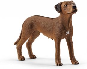 PERRO CRESTADO RODESIANO