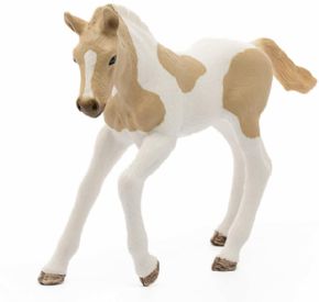 POTRO PAINT HORSE